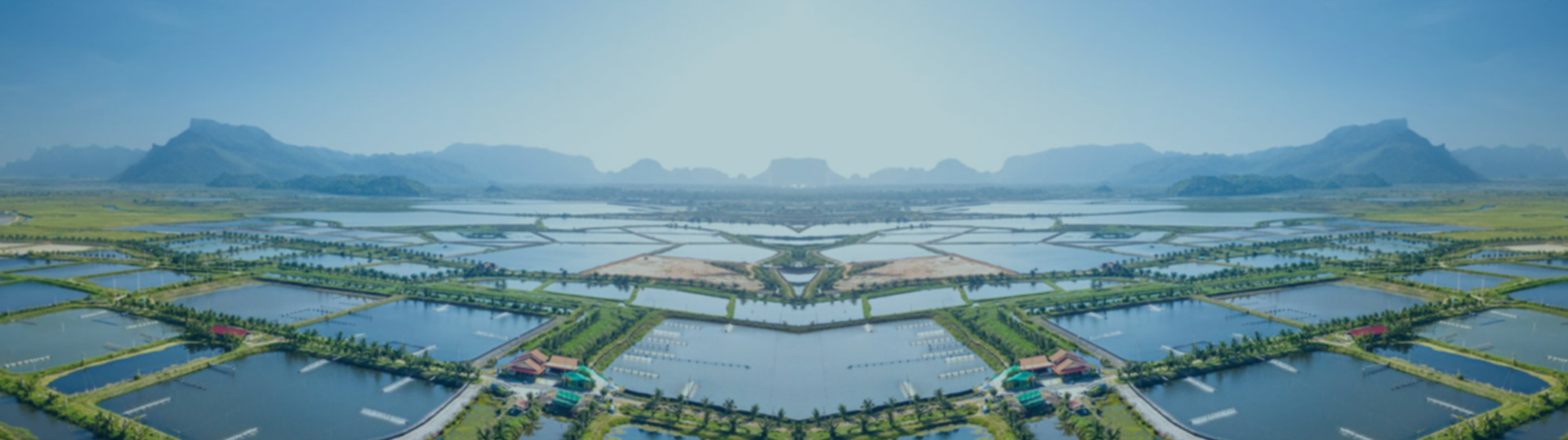 智慧水产养殖解决方案